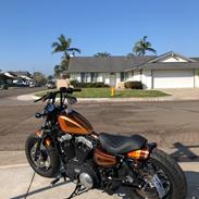 Harley Davidson Forty-Eight