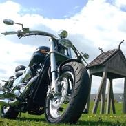 Suzuki VIKING V-Twin 45° VZ Custom Marauder