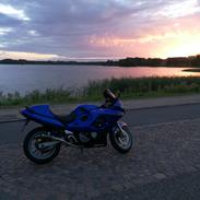 Suzuki gsxf 600