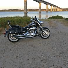 Yamaha Xv 1600 wildstar 