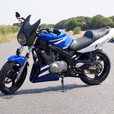 Suzuki GS500