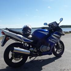 Suzuki gs 500f