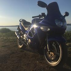 Suzuki GSX600F