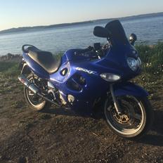 Suzuki GSX600F