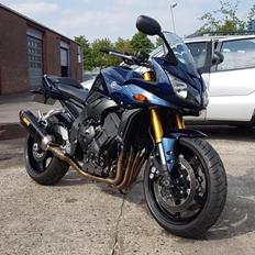 Yamaha FZ1s