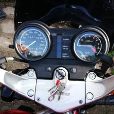 Honda NTV