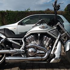 Harley Davidson v-rod vrcsa 100års jubilæums