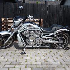 Harley Davidson v-rod vrcsa 100års jubilæums