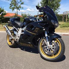 Suzuki TL1000S