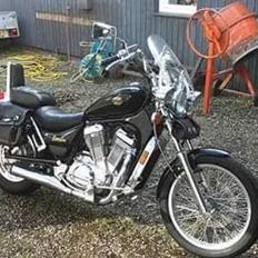 Suzuki intruder