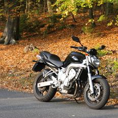 Yamaha FZ6N