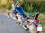 Suzuki VS 800 Intruder