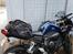 Yamaha FZ1s