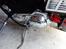 Harley Davidson Sportser 883