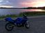 Suzuki gsxf 600