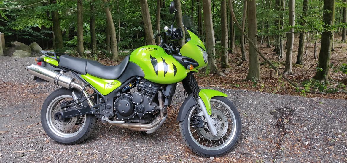 Triumph Tiger 955i billede 6