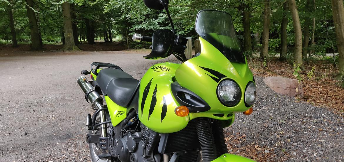 Triumph Tiger 955i billede 2