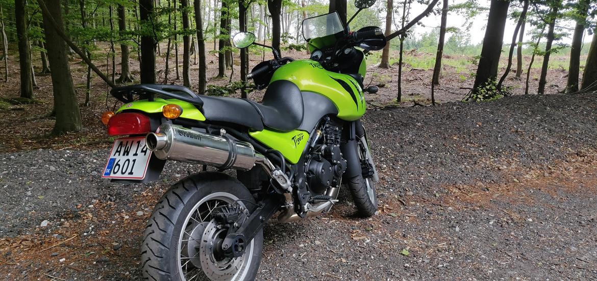 Triumph Tiger 955i billede 3