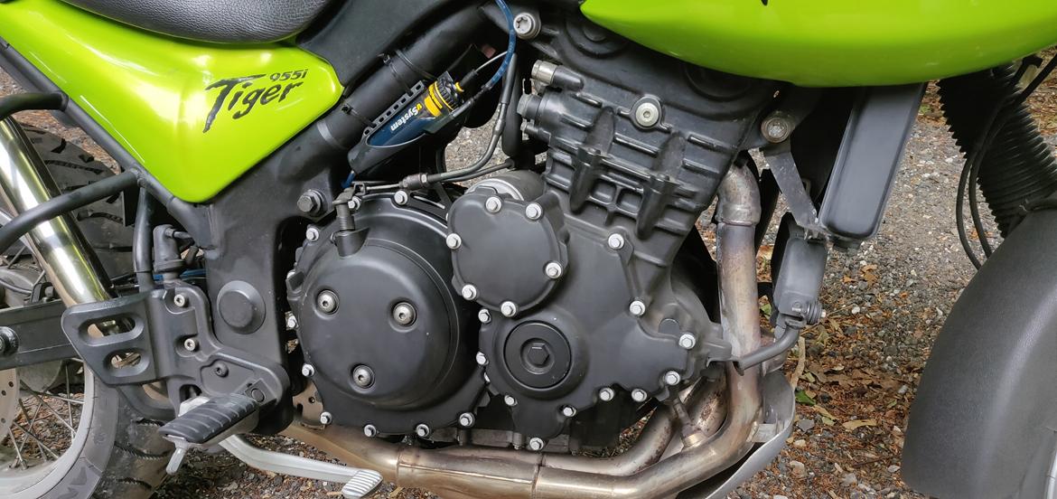Triumph Tiger 955i billede 4