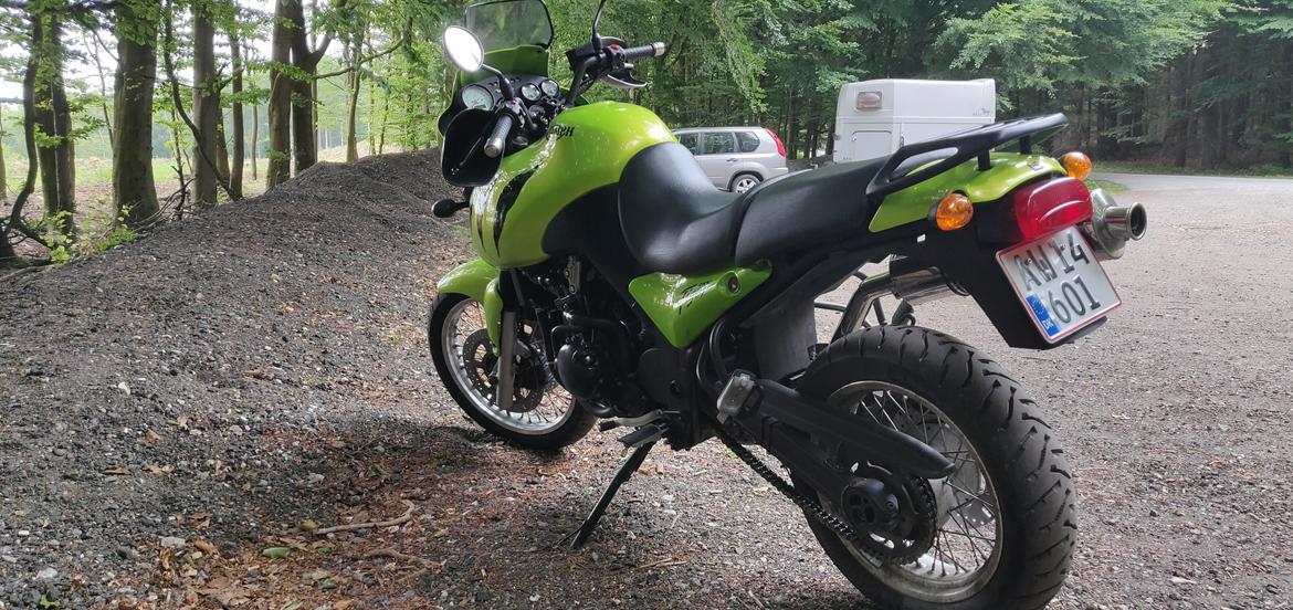 Triumph Tiger 955i billede 5