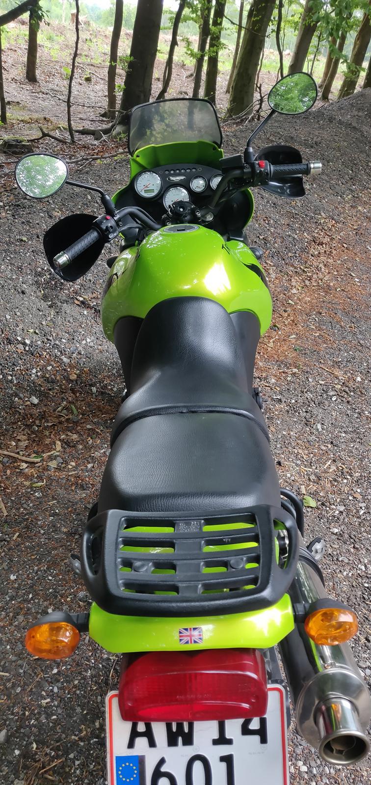 Triumph Tiger 955i billede 7