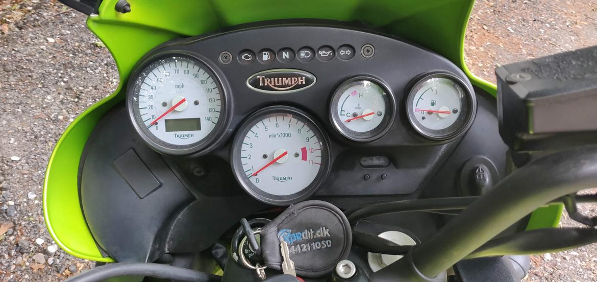 Triumph Tiger 955i billede 8