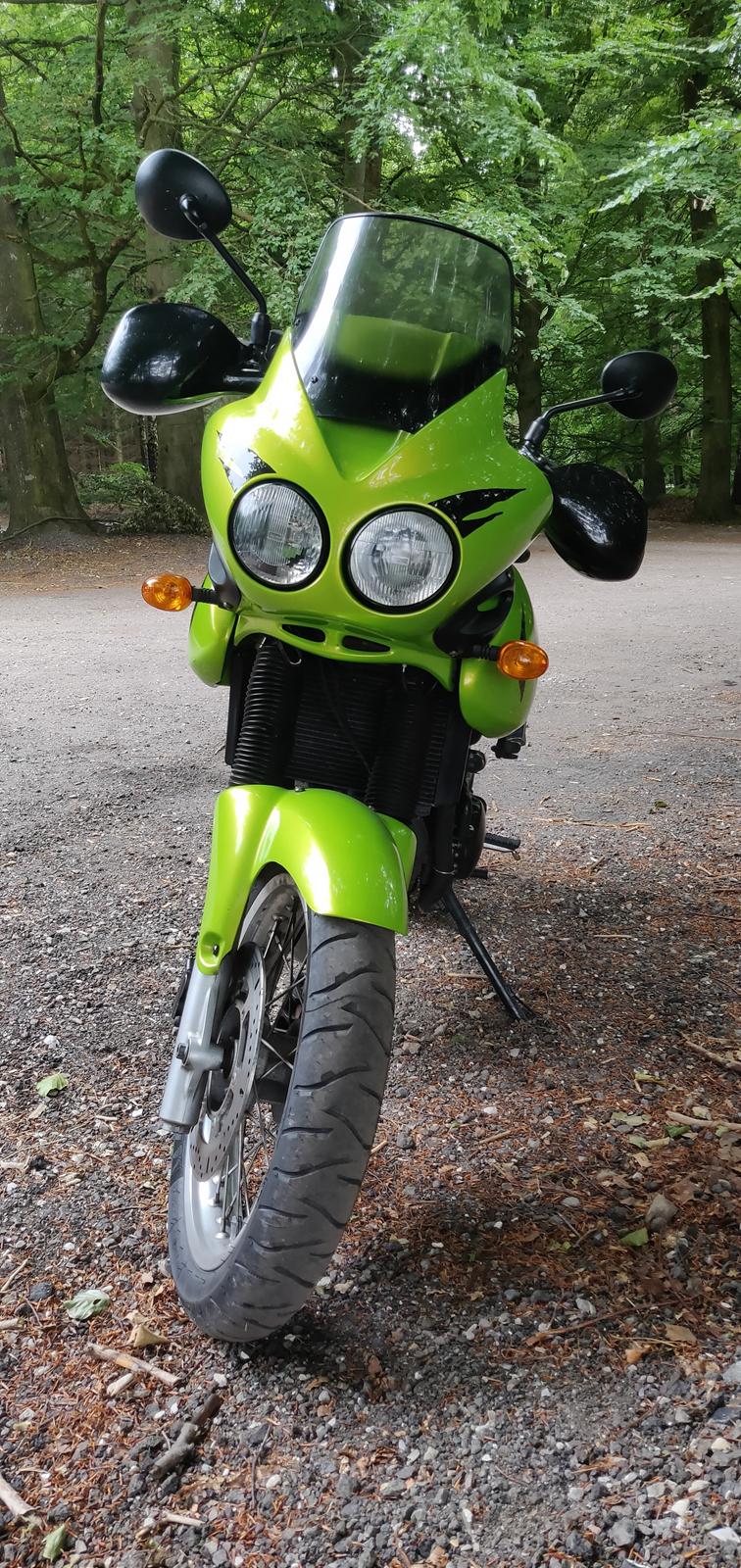 Triumph Tiger 955i billede 9