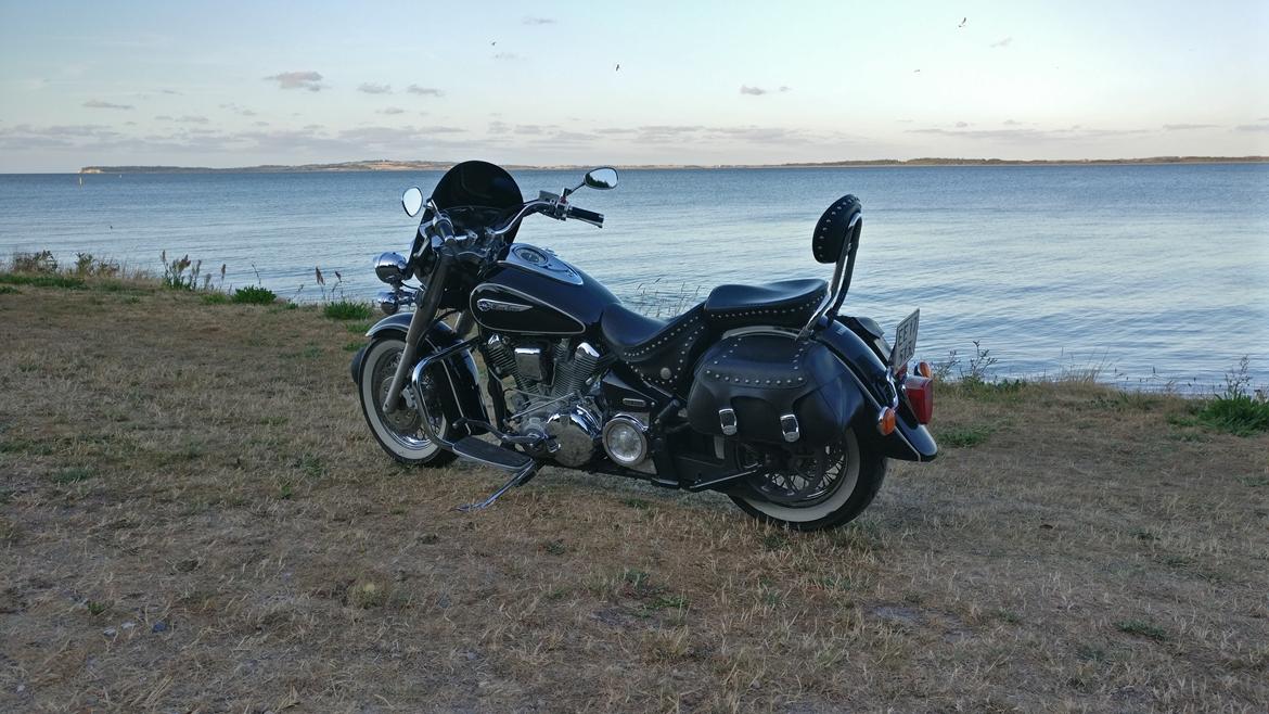 Yamaha Xv 1600 wildstar  billede 5