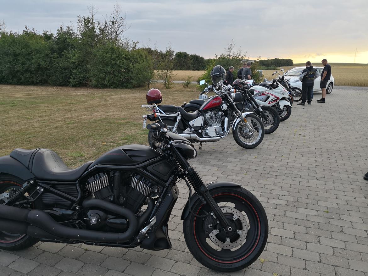Harley Davidson Night Rod Special billede 6