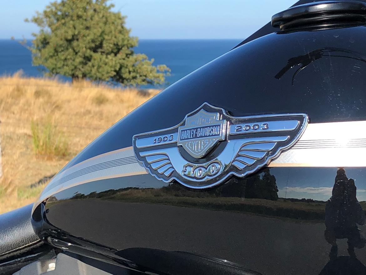 Harley Davidson Night Train billede 6