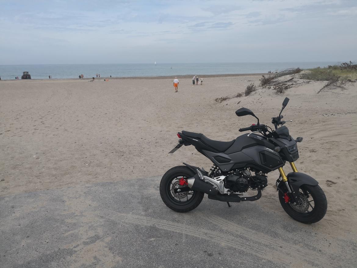 Honda MSX 125 aka GROM Solgt! billede 19