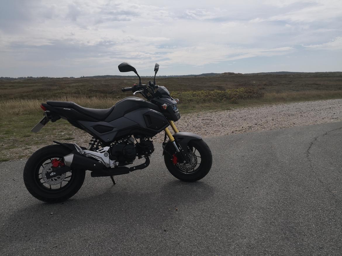 Honda MSX 125 aka GROM Solgt! billede 21