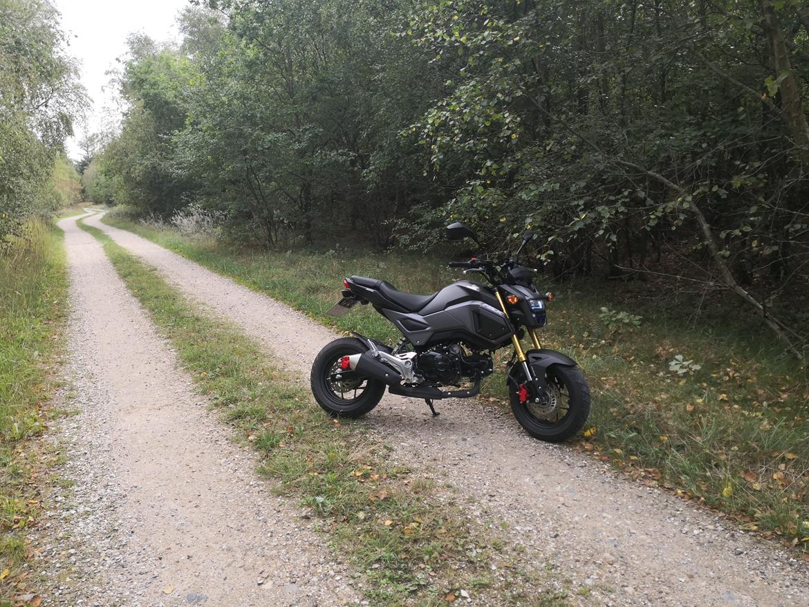 Honda MSX 125 aka GROM Solgt! billede 22