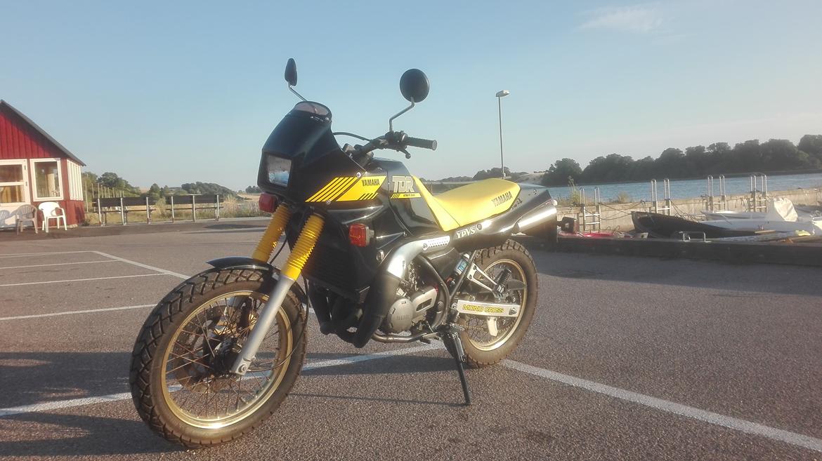 Yamaha TDR 250 Ultimate Dual. billede 36