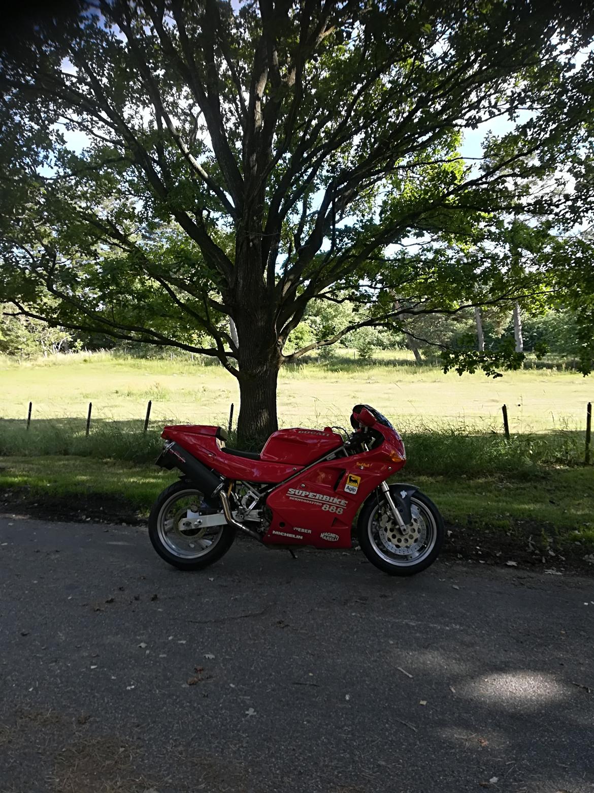 Ducati 888 billede 40