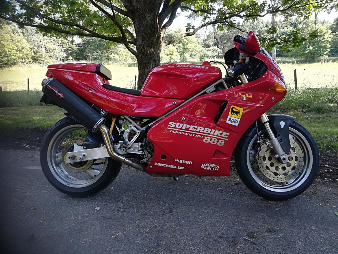 Ducati 888 billede 41