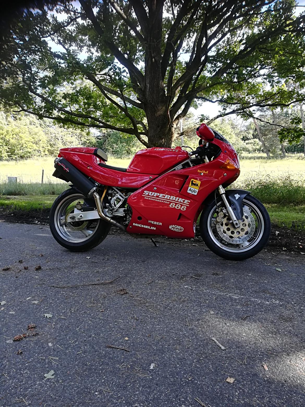 Ducati 888 billede 43