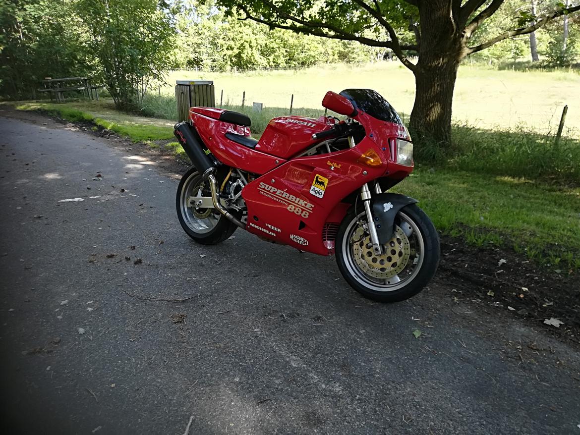 Ducati 888 billede 1