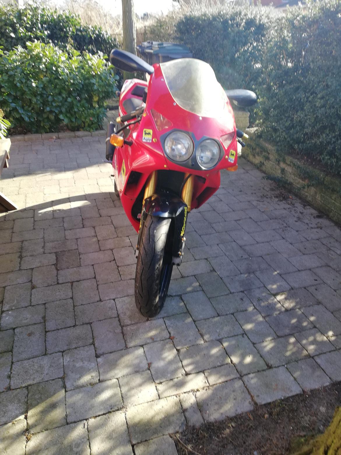 Cagiva Mito  billede 2