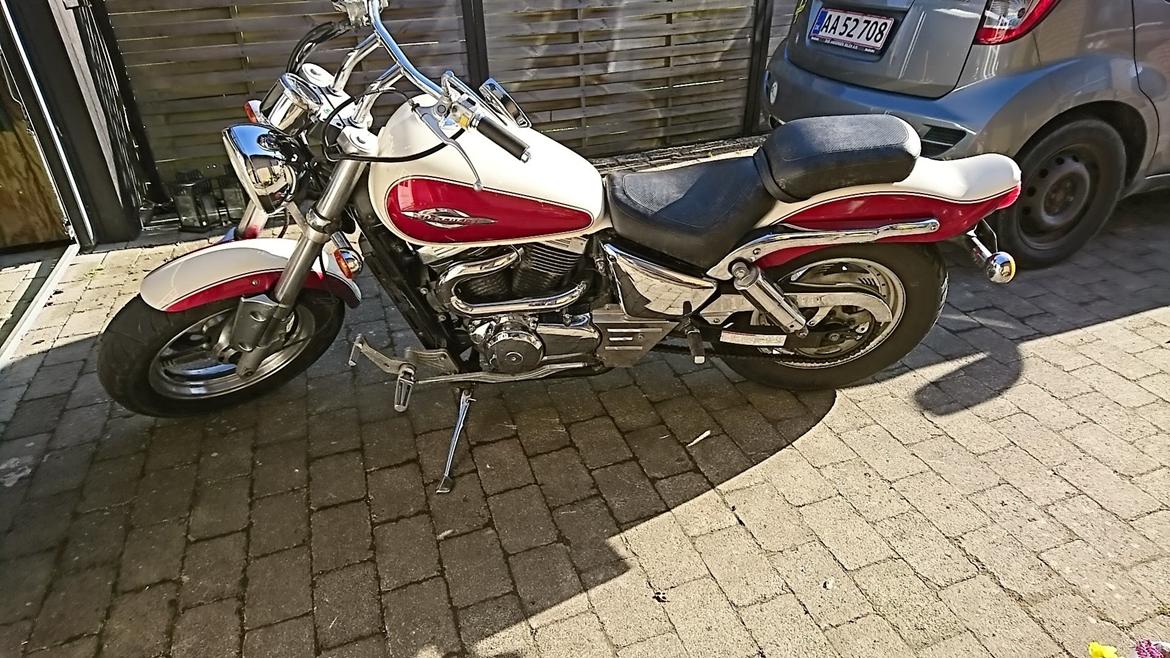 Suzuki vz 800 billede 4