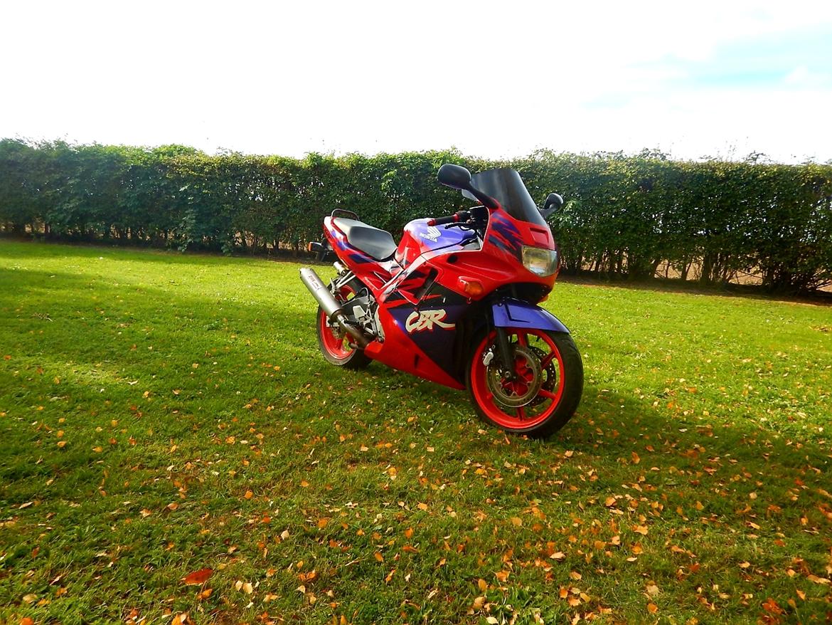 Honda CBR 600 f2 billede 1