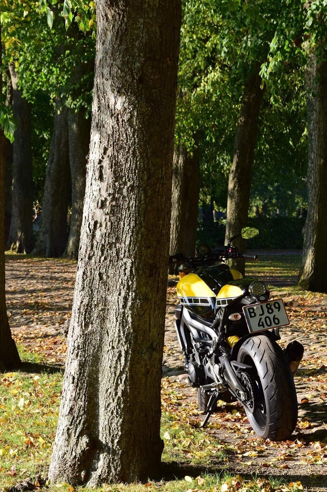 Yamaha XSR 900 60th billede 5