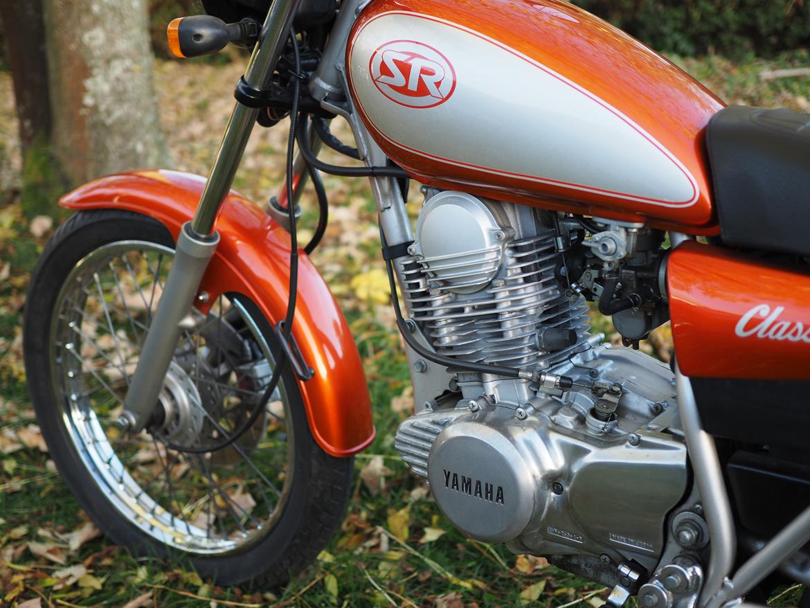 Yamaha SR250 billede 13