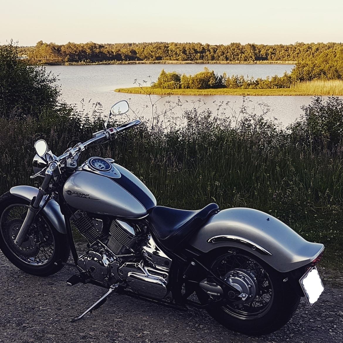 Yamaha XVS 1100 billede 6