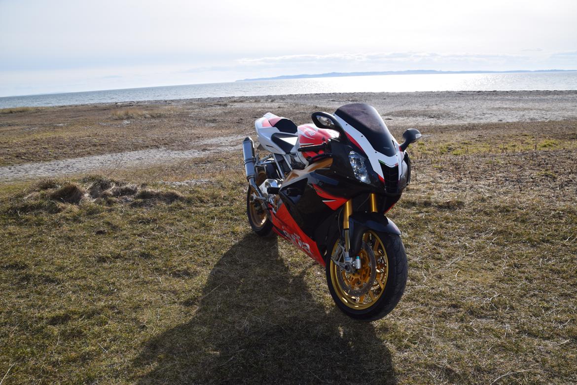 Aprilia RSV1000R Factory billede 5