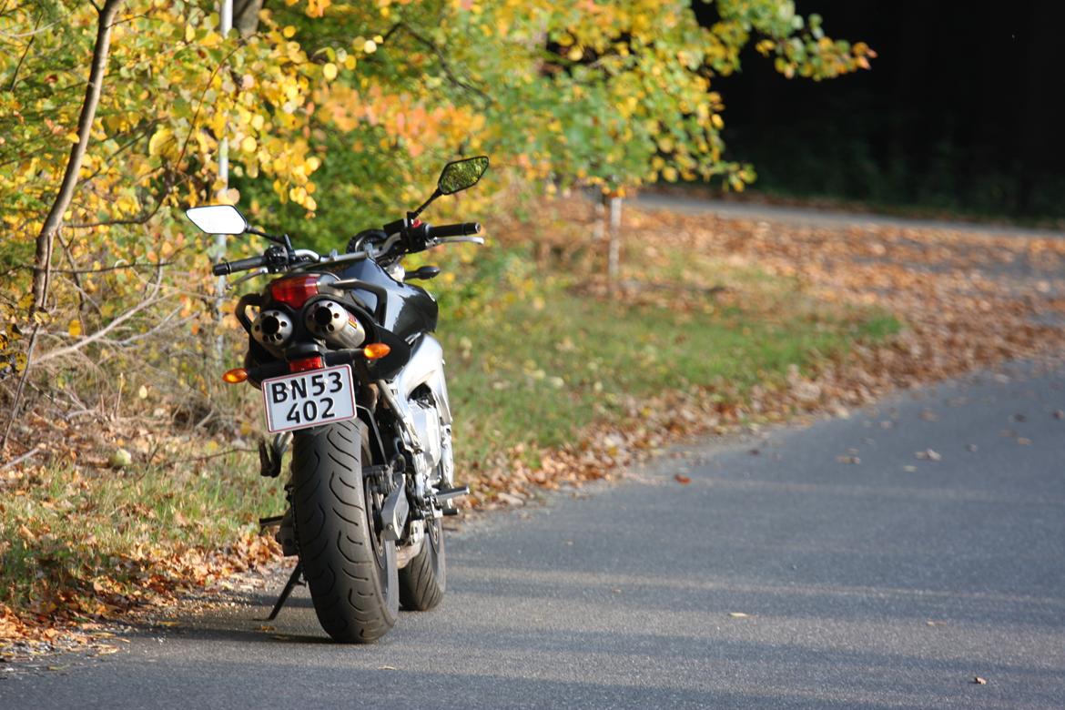 Yamaha FZ6N billede 2