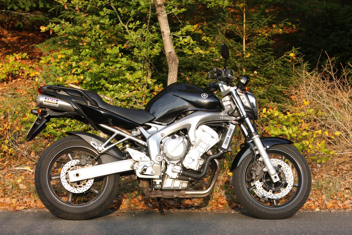 Yamaha FZ6N billede 3