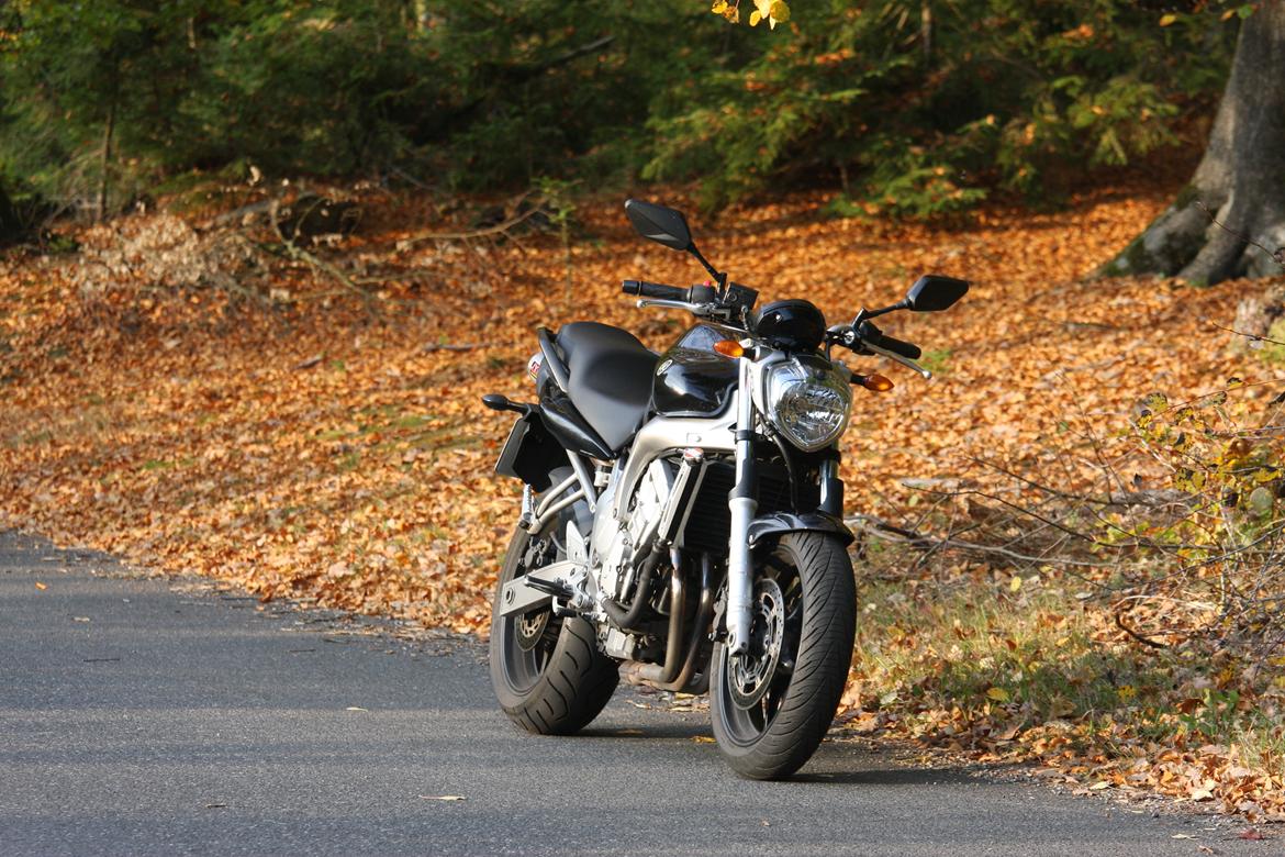 Yamaha FZ6N billede 6