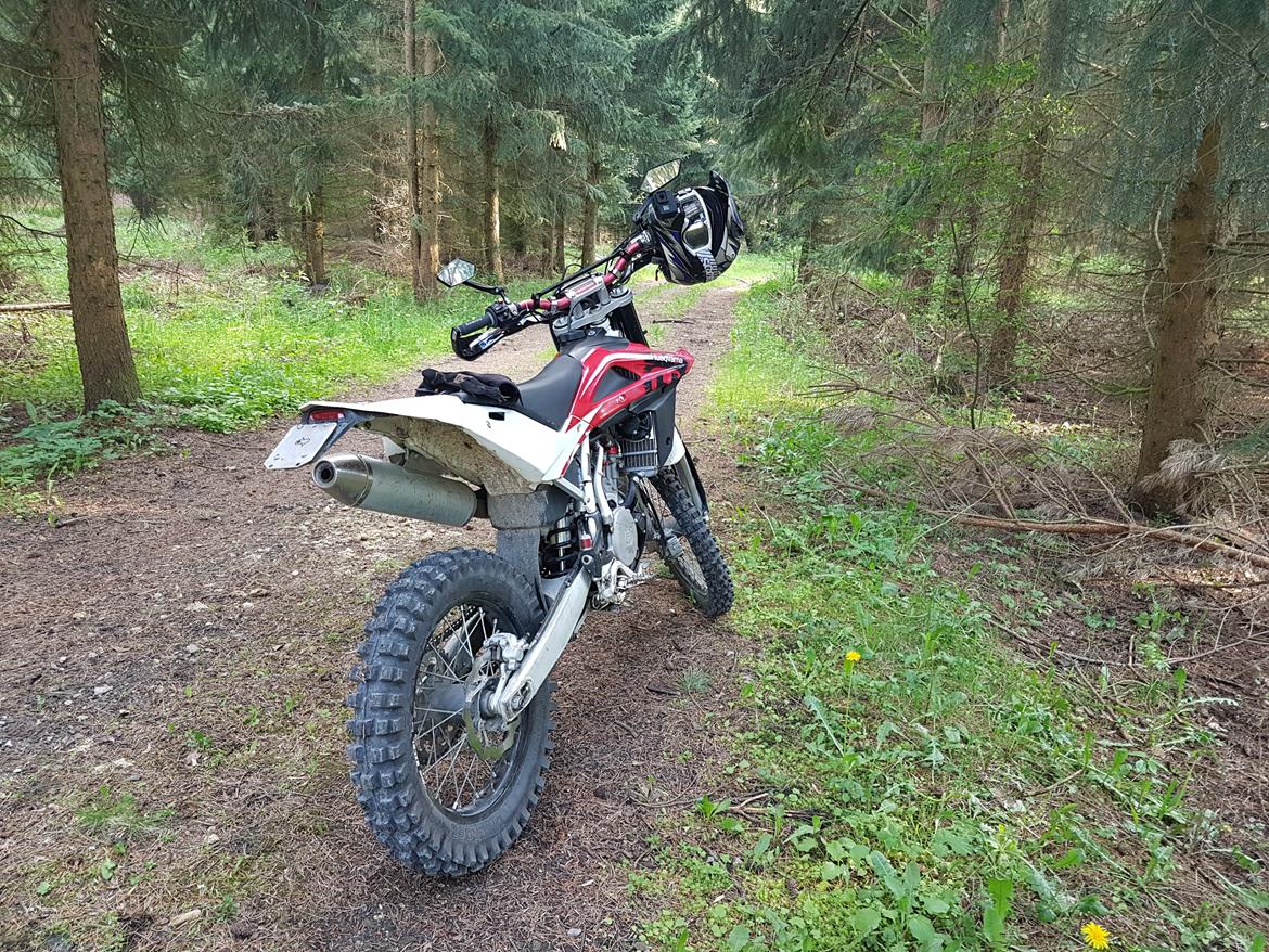 Husqvarna Te 310 billede 13