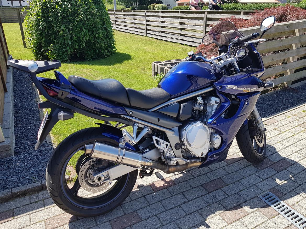 Suzuki GSF 1250 Bandit  billede 4